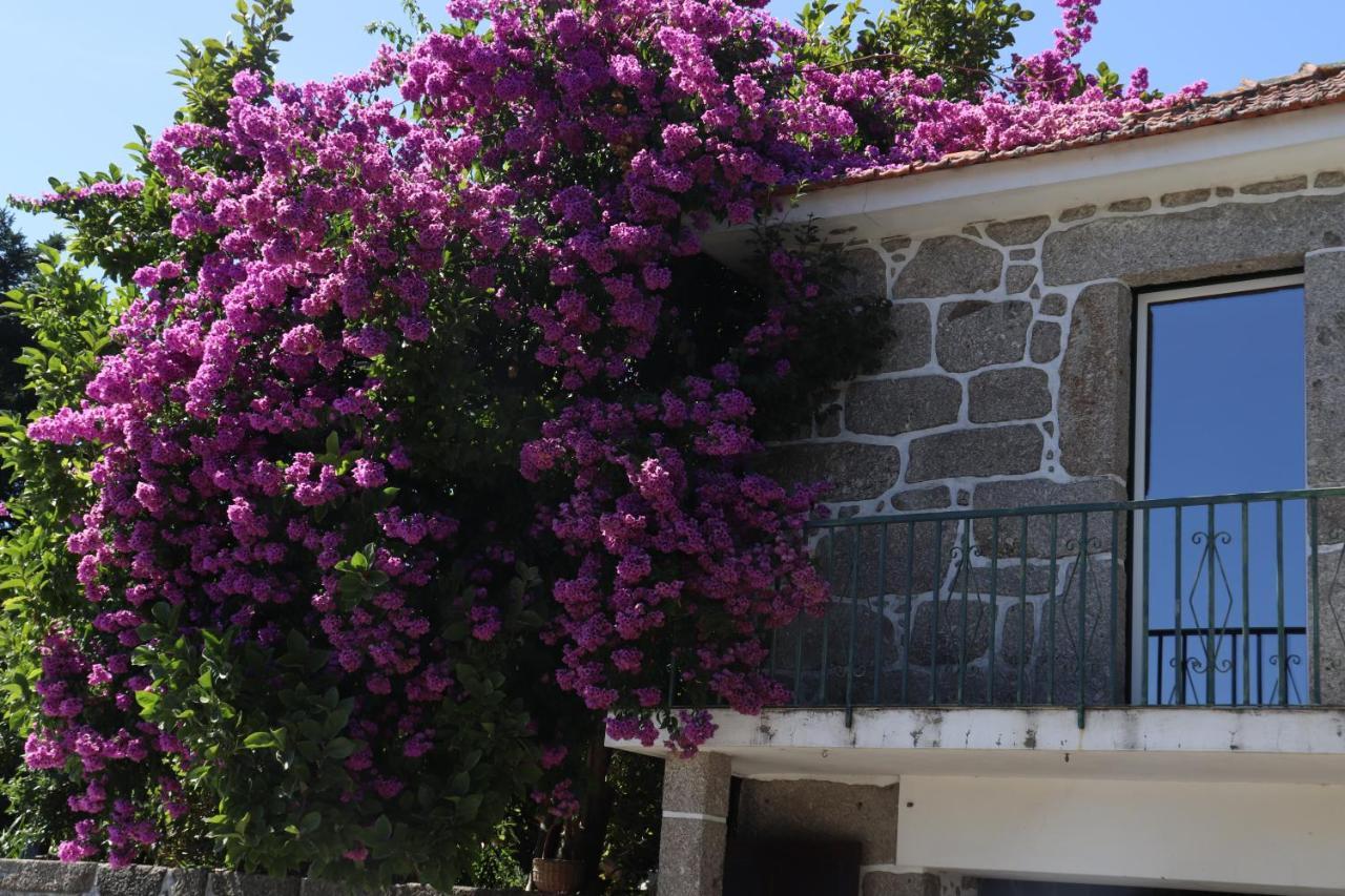 Ich Inveja Country House ปาโซส เด เฟเฮรา ภายนอก รูปภาพ